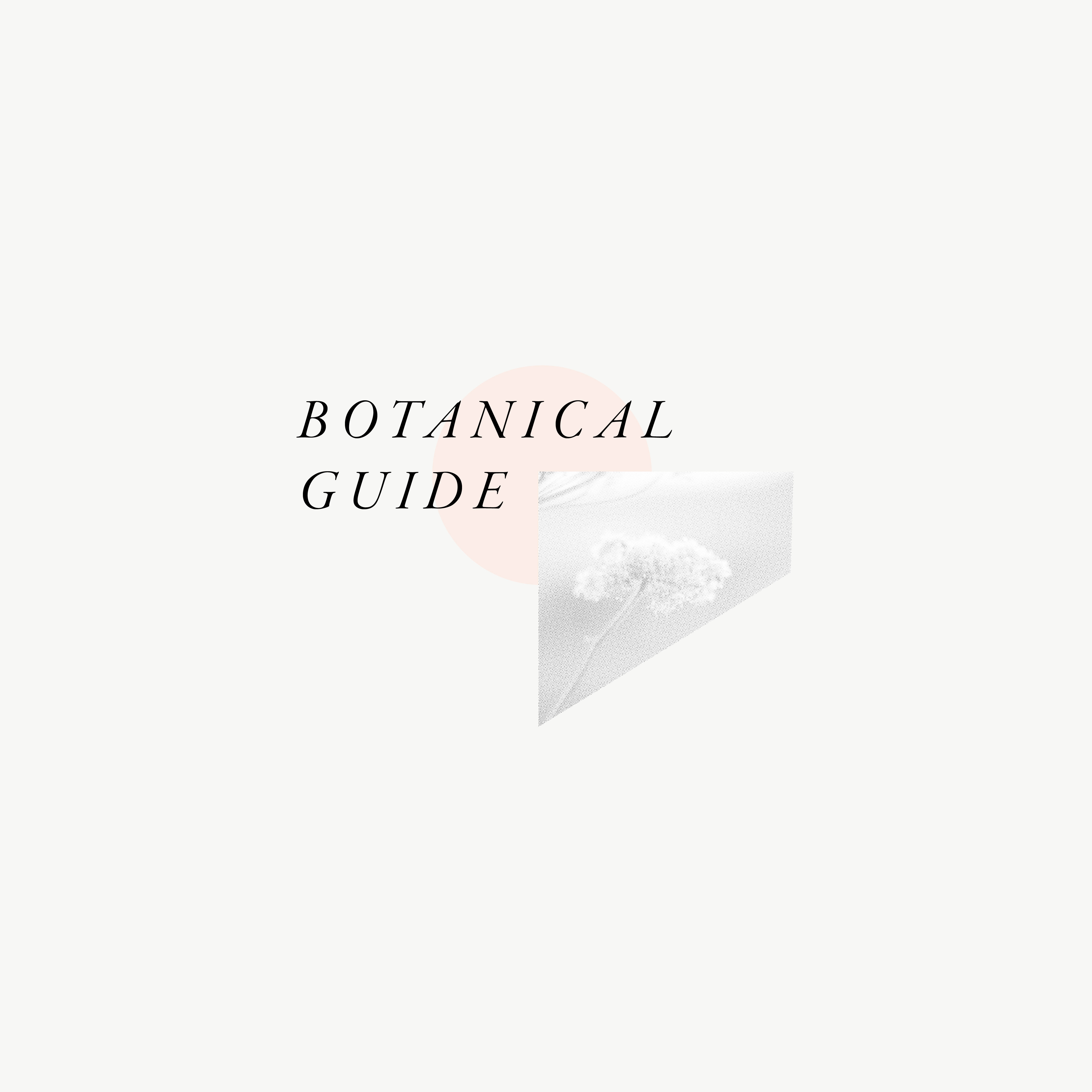 LINK GRAPHIC TO BOTANICAL GUIDE